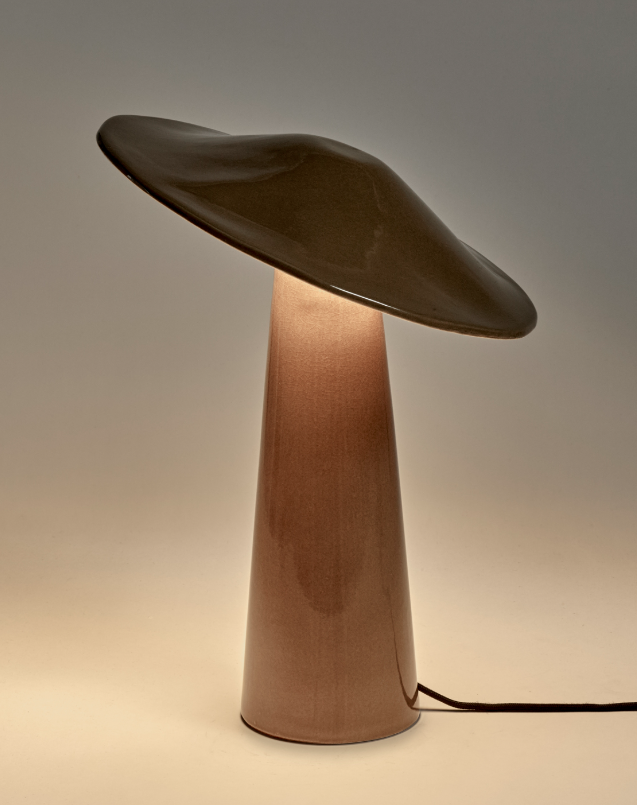 Luminaire à poser